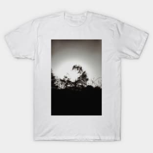 Tamarack Silhouette on Lake Minocqua T-Shirt